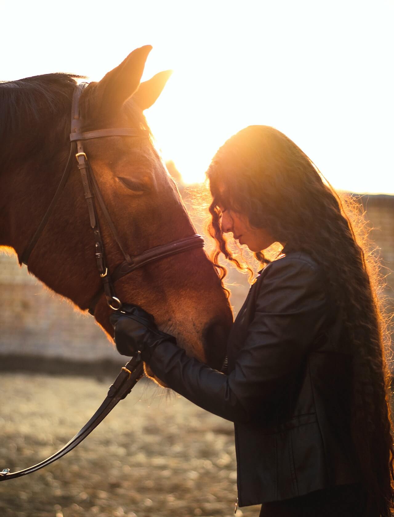 a person holding a horse
