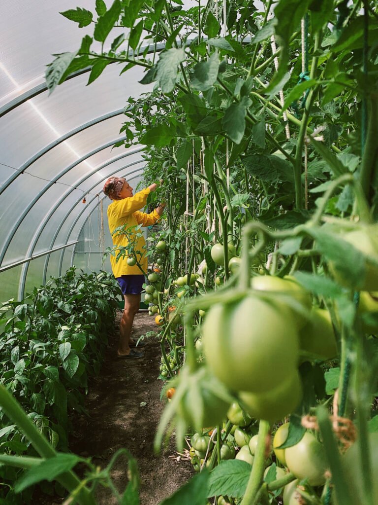 a boy standing in a greenhouse