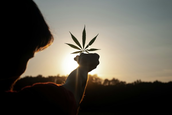 Different Product Container Solutions for Your Cannabis Business 2 img
